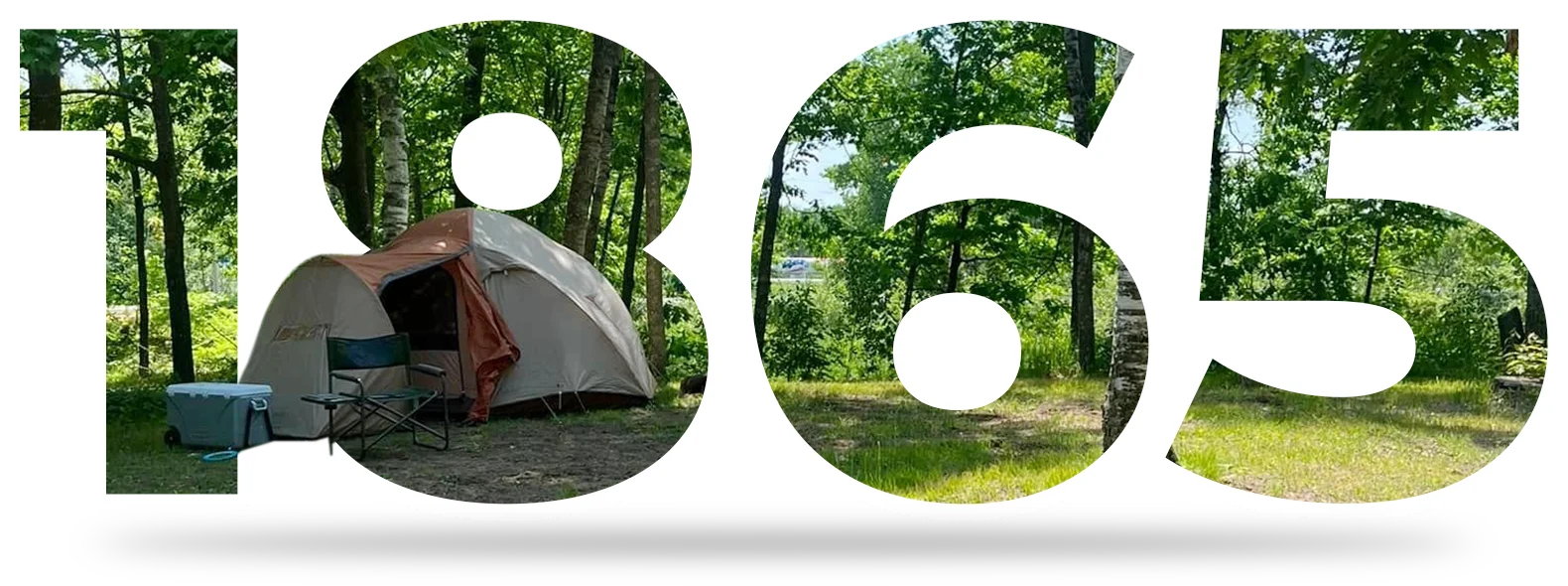 A number of tents in the woods with trees